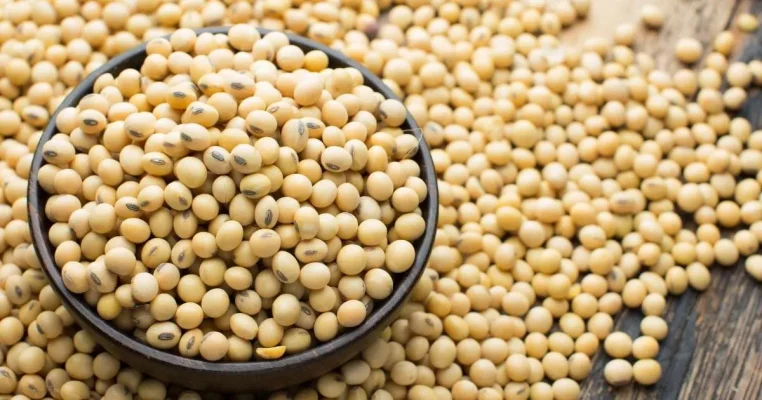 Ăn Đậu Nành Có Tác Dụng Gì? Lợi Ích Đặc Biệt Với Phụ Nữ