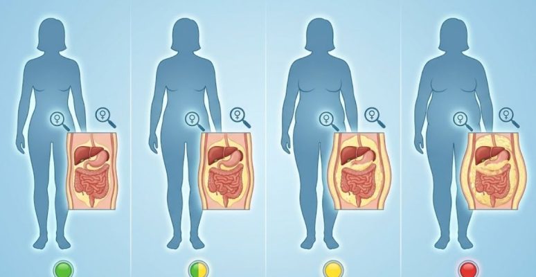 Chỉ số mỡ nội tạng của nữ giới