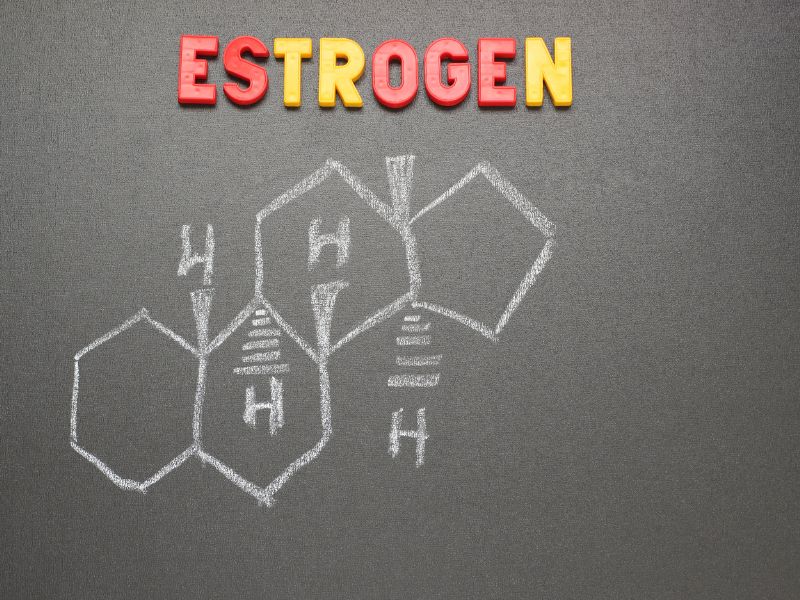 Estrogen là một trong số các hormone chính gây béo phì do rối loạn nội tiết