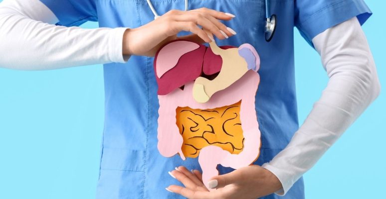 Mỡ nội tạng cản trở tiêu hóa