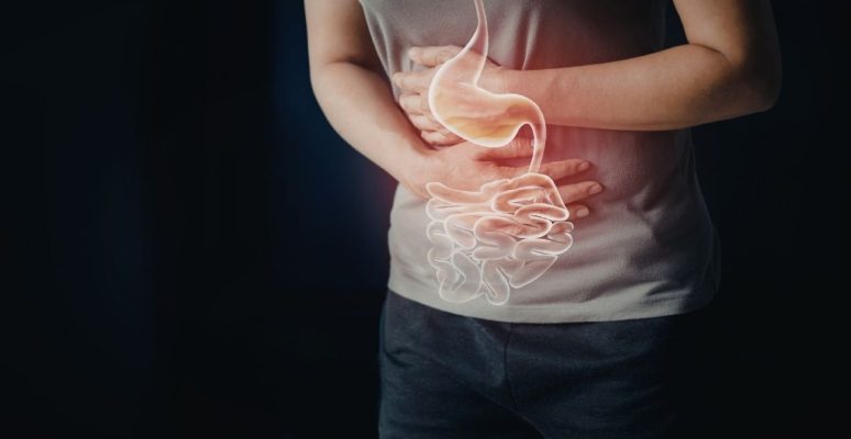 Mỡ nội tạng cao cản trở tiêu hóa: Giải pháp giảm hiệu quả