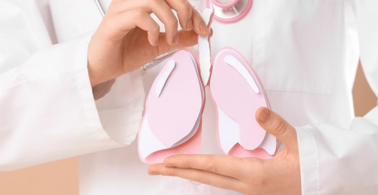 Mỡ nội tạng là gì? Vị trí, tác hại và bệnh lý liên quan