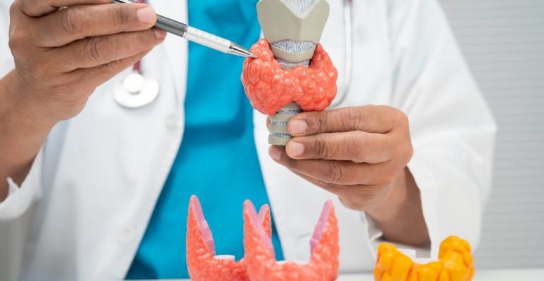 Rối loạn chuyển hóa nội tiết: Nguyên nhân, dấu hiệu và cách khắc phục