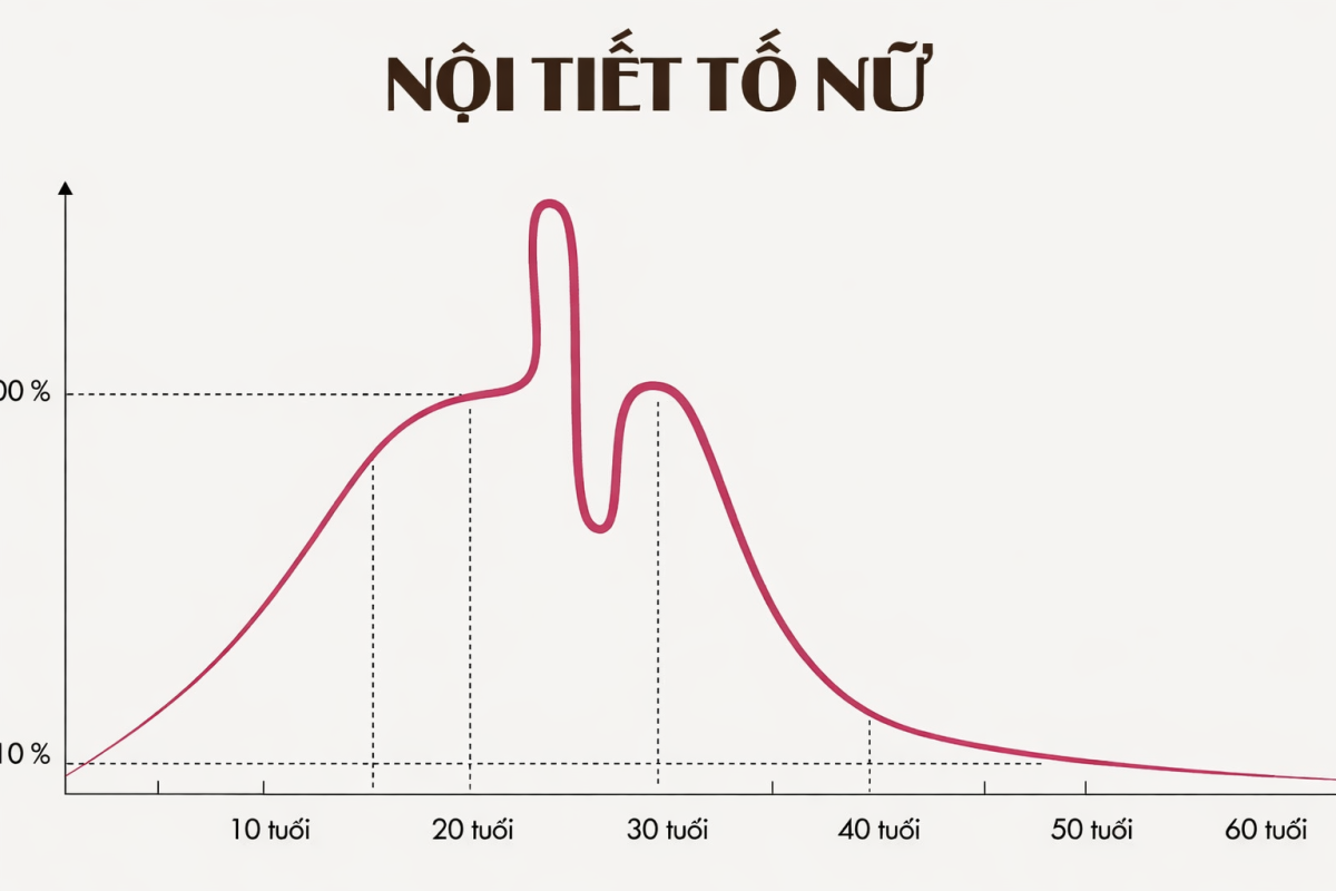 Nội tiết tố nữ là gì