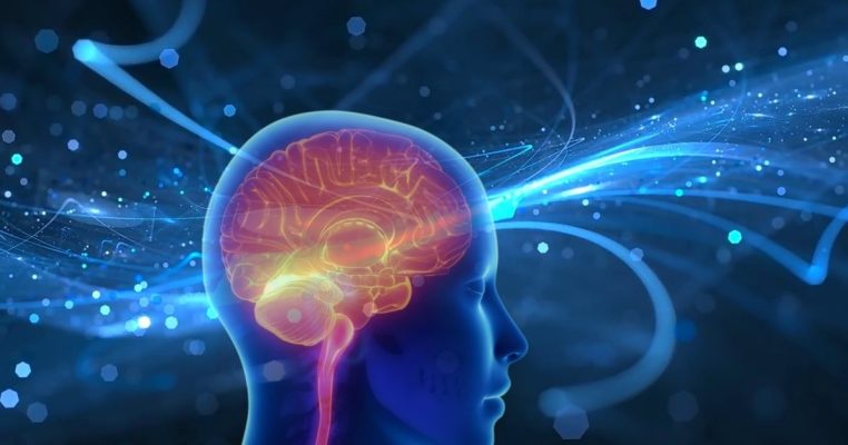 Não bộ suy giảm chức năng