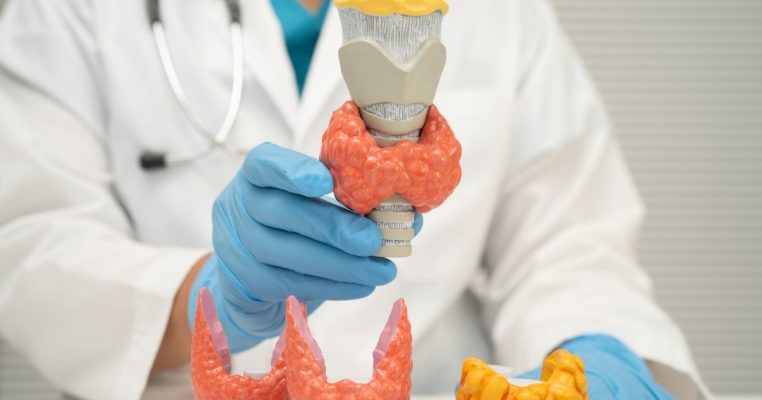 Nồng độ NAD+ và hệ nội tiết