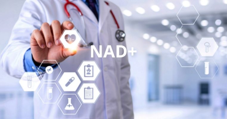 Phân loại các tiền chất của NAD+